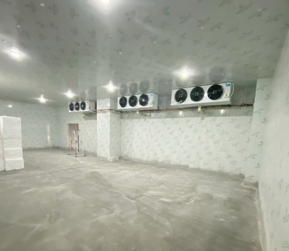 湖北普拉拉食品500立方-25度冰淇淋